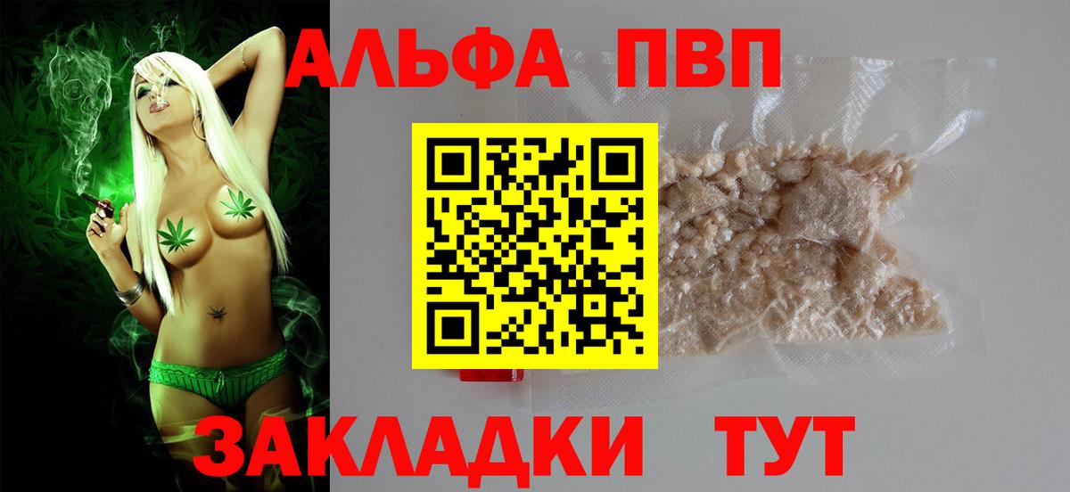 Alfa_PVP СК Печора