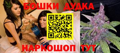 мдпв Гусь-Хрустальный