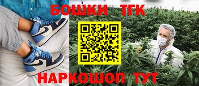 мдпв Гусь-Хрустальный