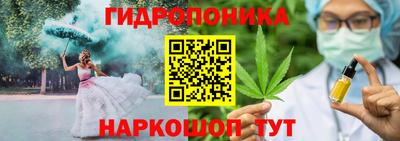 мдпв Гусь-Хрустальный